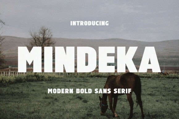 Mindeka: The Font That Elevates Your Brand