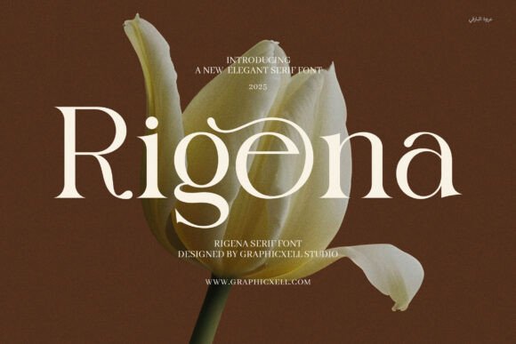 Rigena: A Serif Font That Elevates Every Word