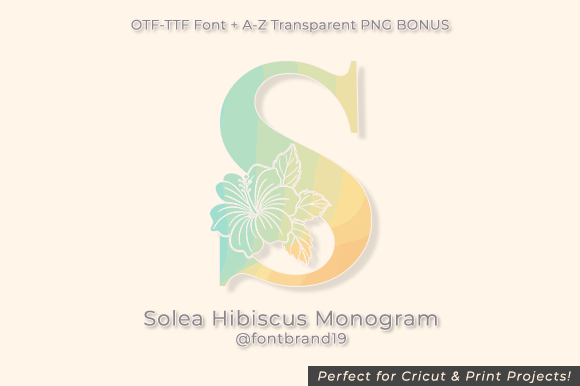 Solea Hibiscus Monogram: A Floral Font for Branding Magic