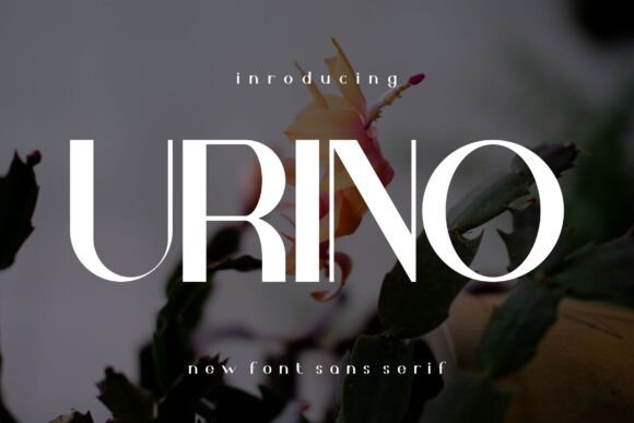 Urino: A Serif Font That Elevates Digital Branding